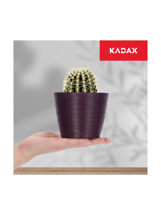Kadax Ghiveci De Flori Din Plastic Violet 11x11cm