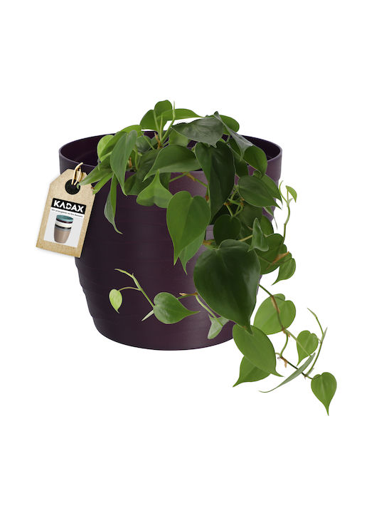 Kadax Plastic Flower Pot Plum 13x13cm