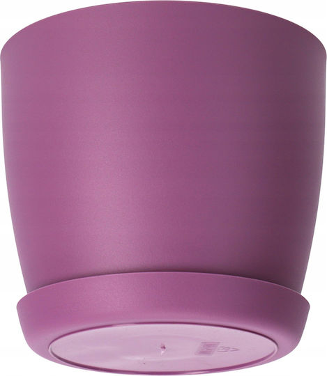 Kadax 