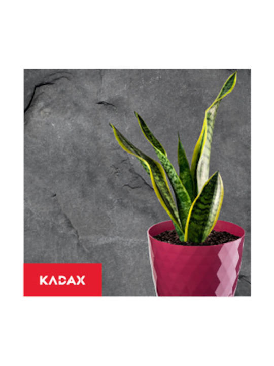 Kadax Set 3 Ghivece De Flori Din Plastic Roz Kadax Set 3 Ghivece De Flori Din Plastic Roz