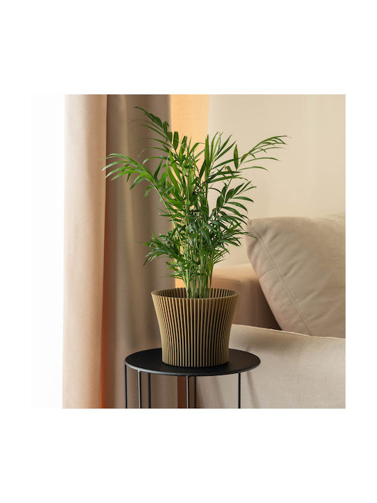 Kadax Plastic Gold Flower Pot 13cm