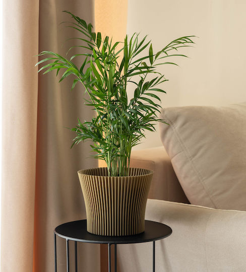 Kadax Kunststoff-Blumentopf Gold 13 cm