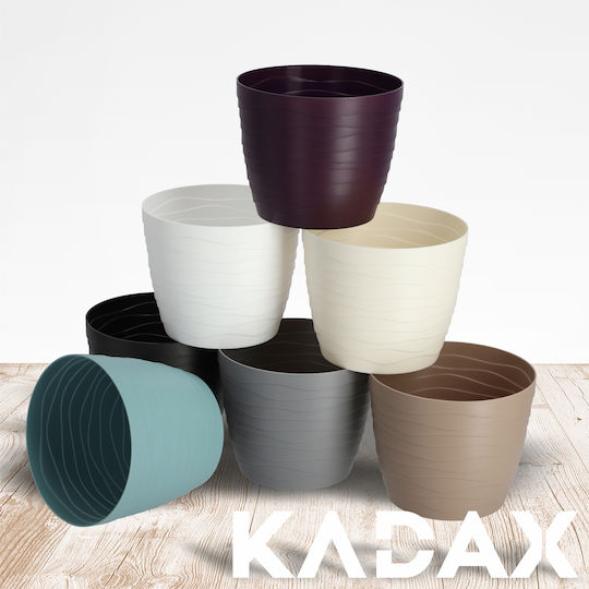 Kadax Kadax