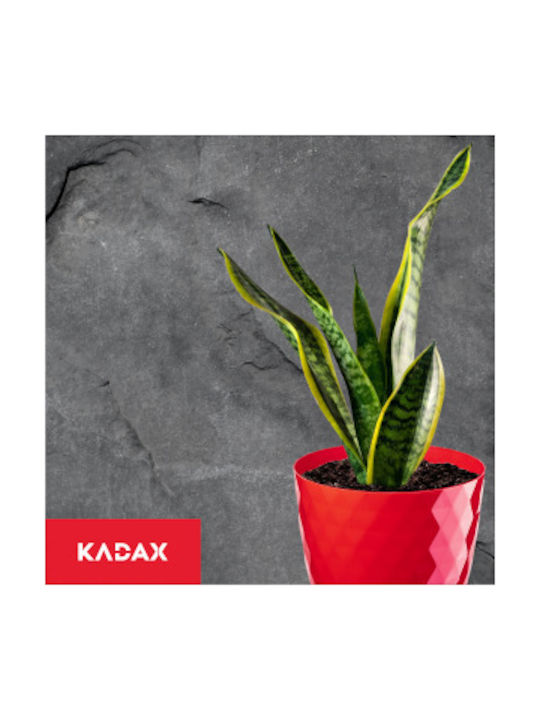Kadax Σετ 3 Γλάστρες Πλαστικές Red με Πιάτο