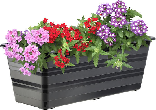 Kadax Set 3 Planter Box-uri Plastice Gri