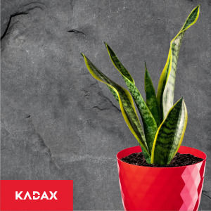 Kadax Set 3 Ghivece de Flori Plastice Roșii cu Farfurie