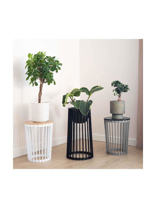 Kadax Plastic Gray Flower Pot