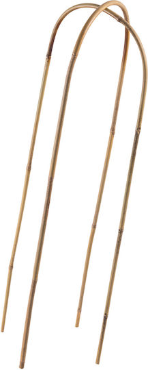 Bamboo Arch Support 90 X 15 Cm 1 Pc