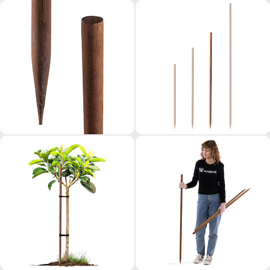 Wooden Stakes Impregnated 120cm Support Rod Stick 10pcs Ø 23 Mm
