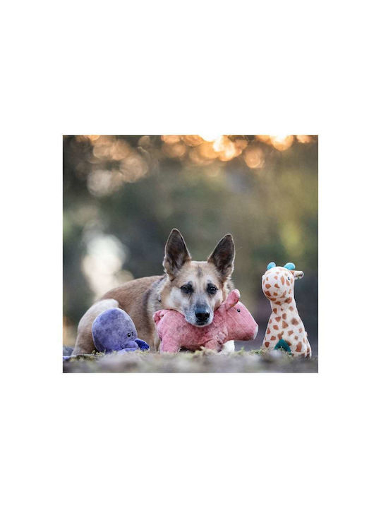 Max & Molly Cuddly Dog Toy with Sound 26cm Light Blue 1 Piece