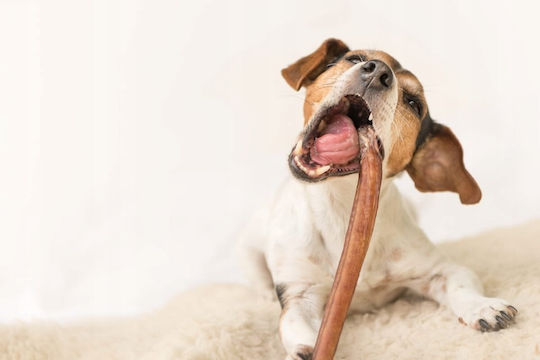 Maced Dog Treat Small Breeds 500g
