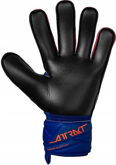 Reusch Goalkeeper Gloves Adults Blue