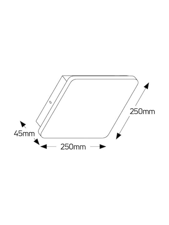 Geyer Modern Lamp Wall with Integrated LED and Warm White Light 250x25cm