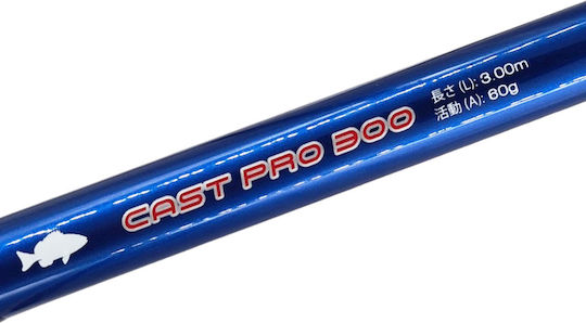Daiki Cast Pro 300 Angelrute Für Surfangeln 3m 60g