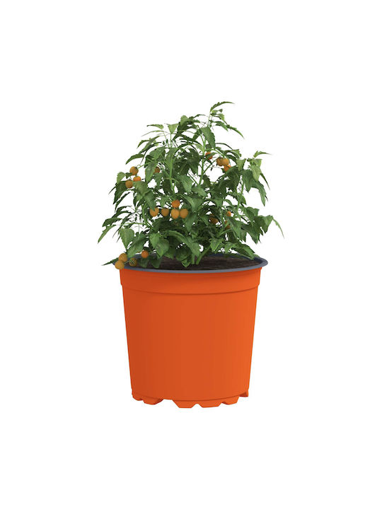 vidaXL Ceramic Flower Pot Orange 15x15x12.5cm