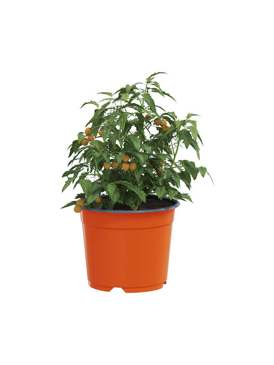 vidaXL Set of 50 Ceramic Flower Pots Orange 10x8cm