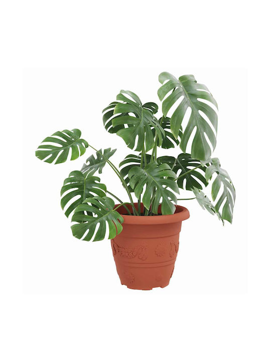 vidaXL Set 24 Ghivece de Flori Din Plastic Cărămiziu 26x21.5cm