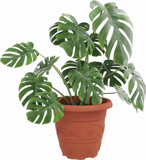 vidaXL Set of 24 Plastic Flower Pots Terracotta 26x21.5cm