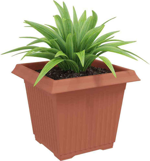 vidaXL Set 6 Ghivece Plastice Light Terracotta