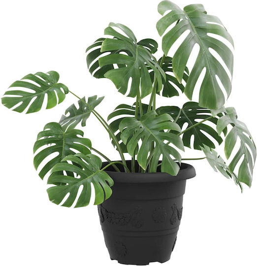 vidaXL Set of 6 Plastic Flower Pots Black 22x18cm