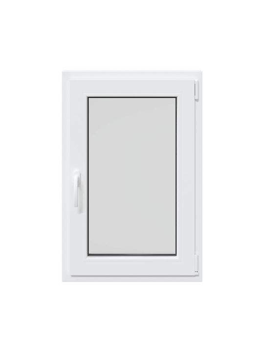 vidaXL Hinged PVC Window W60xH80cm