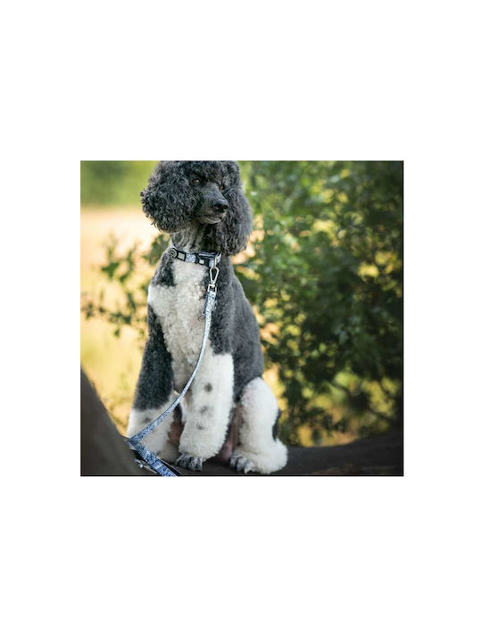 Max Molly Smart Id Dog Collar – Garden Large 2.5cm X 39-62cm