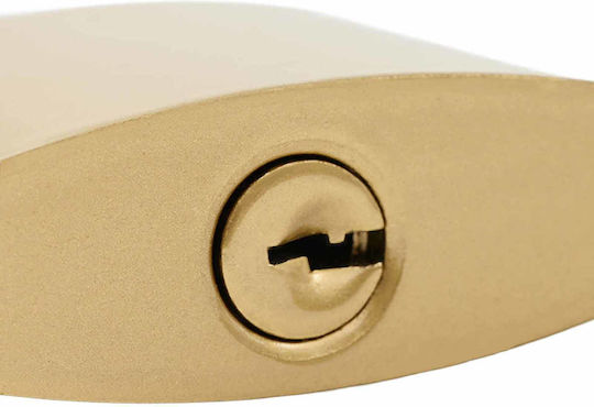 vidaXL Messing Vorhängeschloss mit Schlüssel 43mm 12 Stück