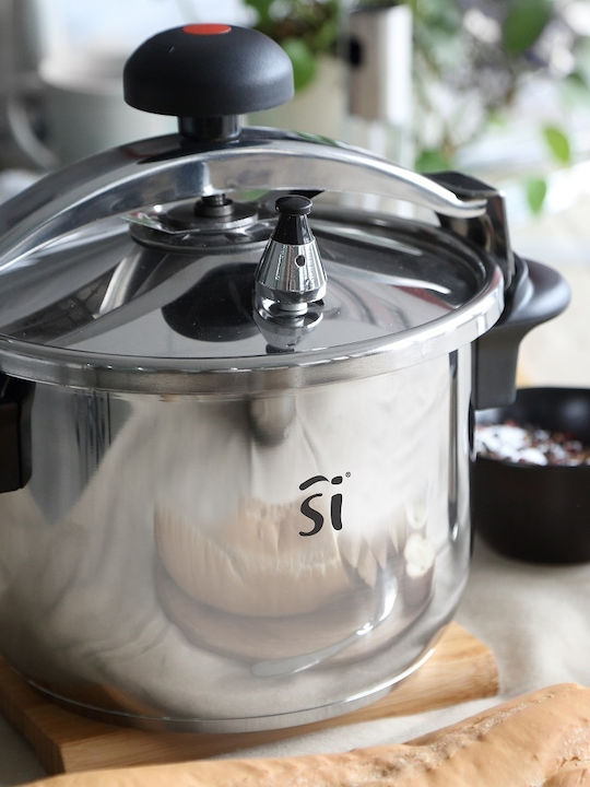Bergner Leon Oală Sub Presiune 6l