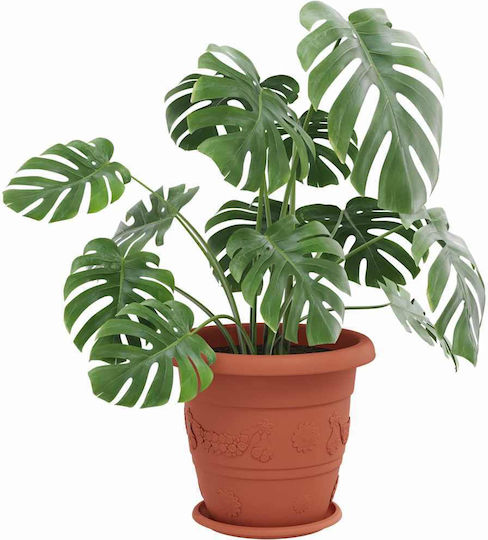 vidaXL Pot Plate Plastic Terracotta 27x27cm 24pcs