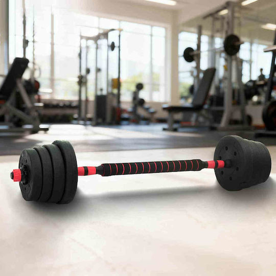 vidaXL Set De Gantere Cu Bară Greutate Totală 30kg