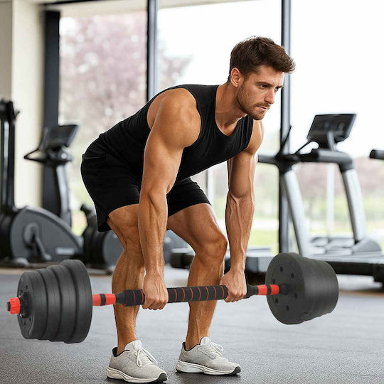 vidaXL Αλτήρες Σετ με Μπάρα Συνολικού Βάρους 30kg με Βάση