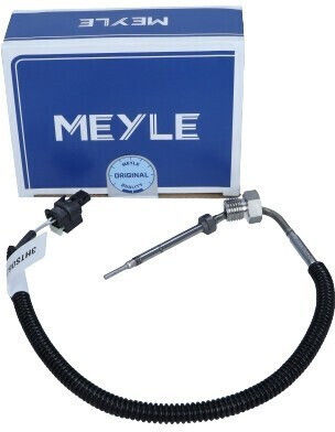 Abgastemperatursensor Smart FürZwei 0,8 09 000 905 58 06