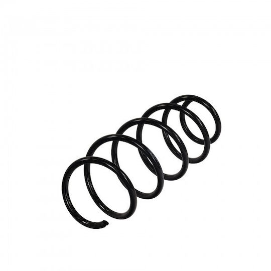 Primăvara Suspensii Auto Mercedes A W169 04 Față 1693212404