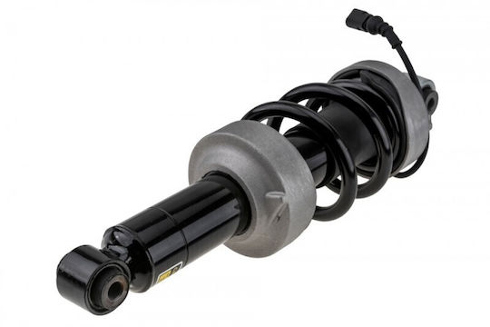 Amortizor Audi R8 2007-2015 4.2l Coupe Audi R8 2007-2015 5.2l Coupe Audi R8 Spyder 2010-2015 4.2l Decapotabil