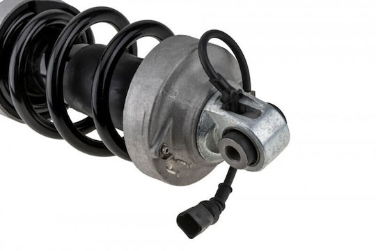 Amortizor Audi R8 2007-2015 4.2l Coupe Audi R8 2007-2015 5.2l Coupe Audi R8 Spyder 2010-2015 4.2l Decapotabil