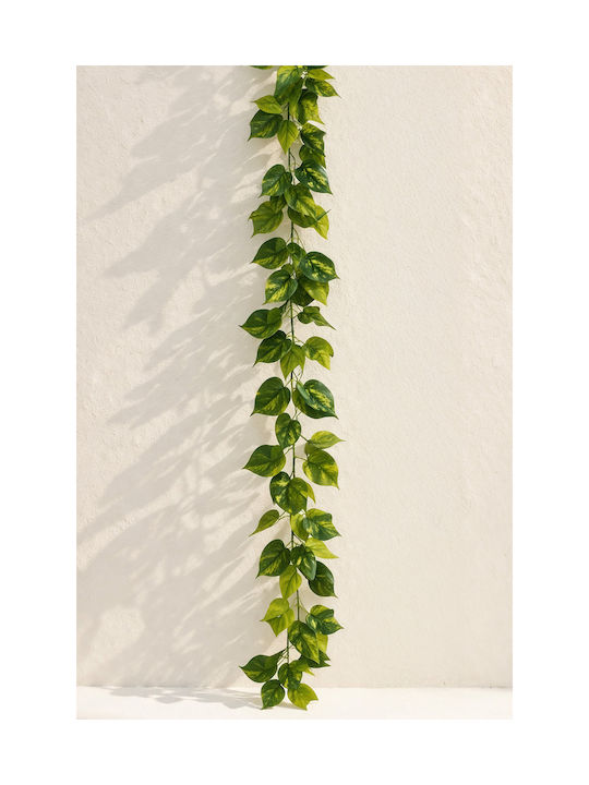Γιρλαντα Ποθος 190x0x0cm Μονόχρωμο Evergreens Γιρλαντα Ποθος 190x0x0cm Μονόχρωμο Evergreens