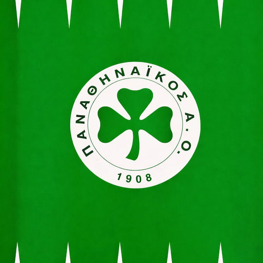 Panathinaikos Σετ Ξύλινα Πούλια & Ζάρια για Τάβλι Πράσινο / Μπλε 6cm