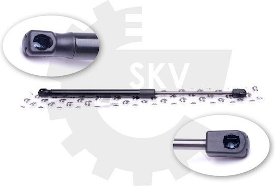 SKV Kofferraum-Schock Für Citroen C3 I 8731G3 8731.G3