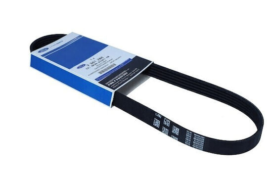 Curea Poli V Rib Ford Turneo Custom 2.0 15 2361286