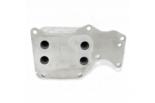 Bmw Öl Kühlschrank Für 1 2 3 4 5 7 X3 X4 X5 11428574005