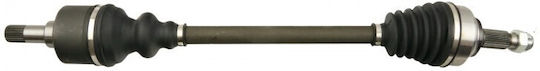 Halimaxónio Citroen Jumpy 16 Links Links Blauhdi 1675953280