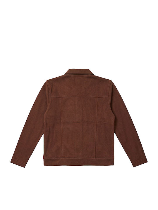 Short Women's Jacket for Spring/Autumn Brown