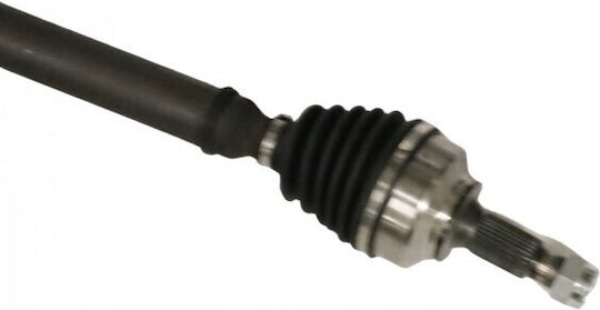 Halimaxónio Citroen Jumpy 16 Hintere 1.6 Bluehdi 115 9820048080