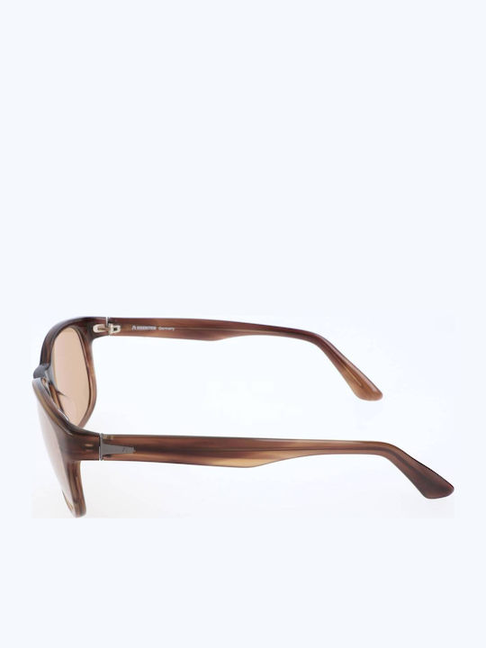 Rodenstock Unisex Sunglasses With Brown Frame And Brown Lens R3261