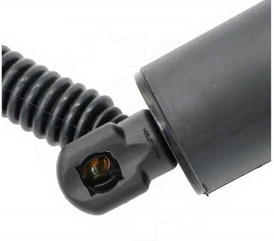Αμορτισέρ Πίσω Πόρτας Bmw X1 Δεξιά 51247481807
