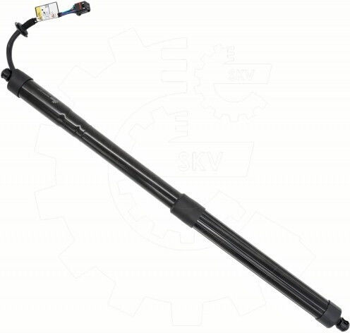 Nissan Pathfinder Rear Door Shock Left or Right Side 905603KA0E