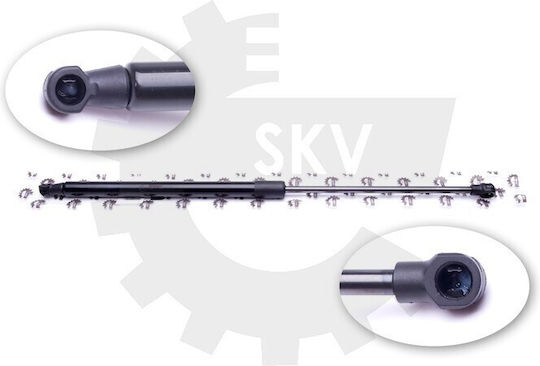 Amortizoare Ușa Spate Renault Laguna Iii 844300001r 844300001r