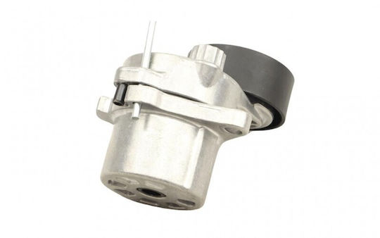 Micro-v Belt Tensioner for Mercedes Vito W639 03 Set