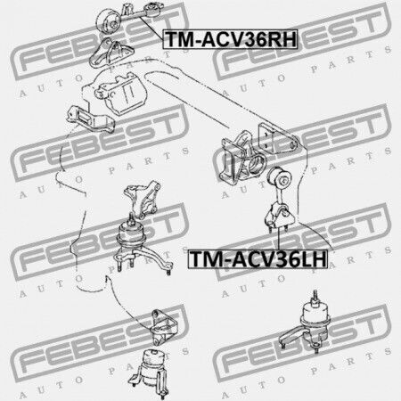 Febest Motorhalterung Für Toyota Camry Acv3 2001.09-2006.01 Jp 12371-0h020
