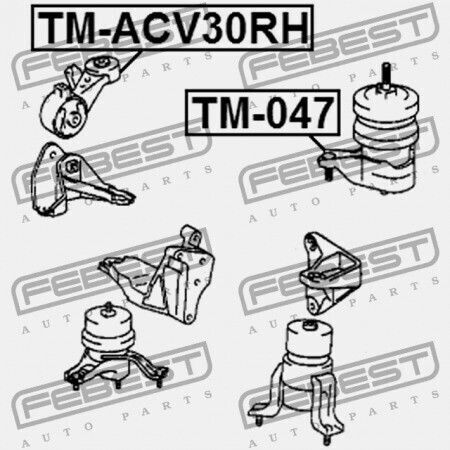 Right Engine Mount Toyota Camry Jpp Acv30 Mcv3 2001.07-2006.01 Us 12363-20120